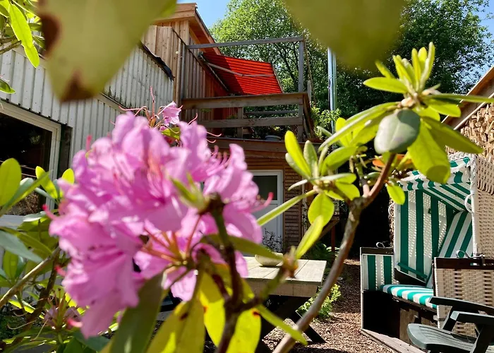 Beim Hufschmied * Киль